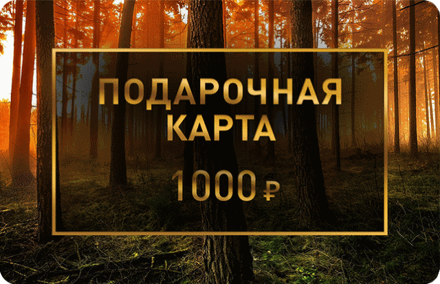 Подарочная карта 1 000 рублей.gif Подарочная карта 1 000 рублей.gif