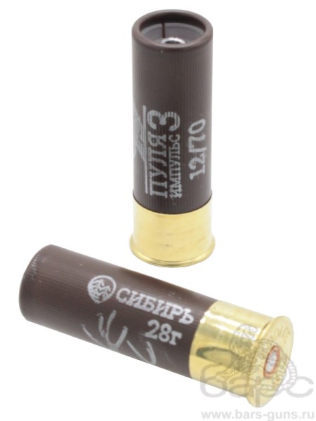 Патрон 12х70 пуля Импульс-3 Новосибирск - 2 Патрон 12х70 пуля Импульс-3 Новосибирск - 2